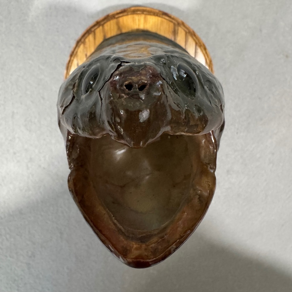 Snapping Turtle Taxidermy Wall Mount Brown Glossy Plaque Rustic Vintage Unique